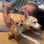 Gary Beebe II - @gilbeebe - Instagram
