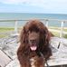 Gary Beemer - Facebook