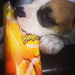 Gary Beeson - @roachgrandswmur - Instagram