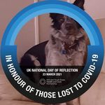 Gary J P Beeson - @the_beast_gb - Instagram