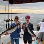 Gary Bellows - @garyebellows - Instagram