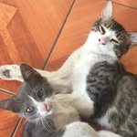 Somos Gary Y Benito - @garyconbenito - Instagram