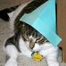 Gary Benshoof - Facebook