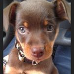 Gary Benshoof - @garybenshoof - Instagram