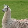 Gary Benzschawel - @garybenzschawel8 - TikTok