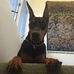 Gary Berchem - Facebook