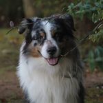 gary - @gary_berger_australien - Instagram