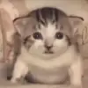 Gary Ebert - @garyebert821 - TikTok