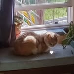 Gary Bones Beyer - @bonestats - Instagram