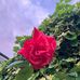 Gary Bicknell - Facebook