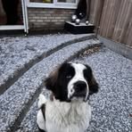 Gary Bicknell - Facebook