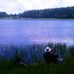 Gary Bicknell - Facebook