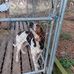 Gary Butler - Facebook