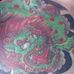 Gary Billington - Facebook