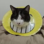 Gary Bills Day - @elgarykeloke - Instagram