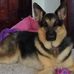 Gary Bixler - Facebook