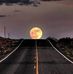 Gary Black - Facebook