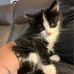 Gary Blake - Facebook