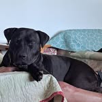 Gary Boatwright - @gkboatwright - Instagram