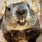 Gary Boatwright - @gndh0g - Instagram