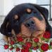Gary Boisvert - Facebook