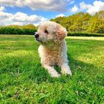 Gary Bonser - @garybonser - Instagram