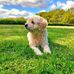 Gary Bonser - Facebook