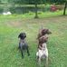 Gary Book - Facebook