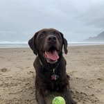 Kenzie - @gary_reads_books - Instagram