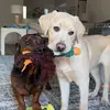 Gary & Boone - @gary.boone38 - TikTok