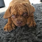 Gary Boorman - Facebook