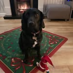Gary Boorman - @gary.b__ - Instagram