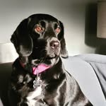 Gary Boorman - @gary.b_ - Instagram