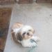 Gary Boos - Facebook