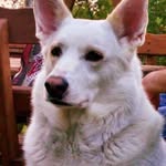 Kim_Gary Boozer - @kim_garyboozer - Instagram
