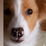 Gary Schwarcz - @border_gary - Instagram