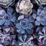 Lynn Greenholt - @garyb_o_rer - Instagram