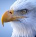 Gary Bogenhagen - Facebook