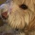 Gary Borkenhagen - Facebook