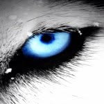 Gary Born - @beastor666 - Instagram