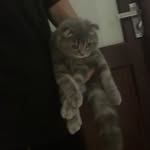 Gary Borowski - @garyborowski50638 - Instagram