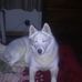 Gary Borowski - Facebook