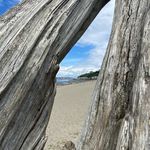 Gary Botkin - @photographybyglb - Instagram