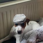 Gary Bottomley - @garybottomley - Instagram