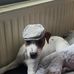 Gary Bottomley - Facebook