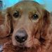 Gary Bourassa - Facebook