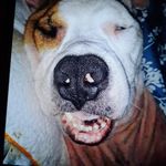 Gary Bove - @gary_1964117 - Instagram
