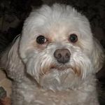 Gary Bovee - @garybovee - Instagram