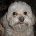 Gary Bovee - Facebook