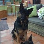 Gary Bowden - @garybowden06 - Instagram